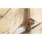 Bateau Diana 1/82 kit construction bois OcCre OcCre 14001 - 5 14001-Bateau Diana 1/82 kit construction bois OcCre - 14001