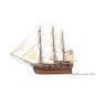 12006-Boat Essex 1/60 Kit Construction Wood OcCre