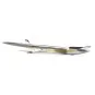 EFL01675-Conscendo Evolution 1.5m PNP E-Flite - EFL01675