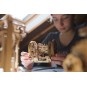 Differential - STEM Puzzle 3D wood UGEARS UGEARS UG-70132 - 3 UG-70132-Differential - STEM Puzzle 3D wood UGEARS - UG-70132