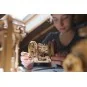 UG-70132-Differential - STEM Puzzle 3D wood UGEARS - UG-70132
