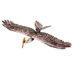 Aigle Eagle II 1m43 E19 EPP Kit DW Hobby DW Hobby - Dancing Wings Hobby E1901 - 1