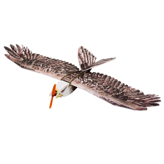 Aigle Eagle II 1m43 E19 EPP Kit DW Hobby DW Hobby - Dancing Wings Hobby E1901 - 1 E1901-Aigle Eagle II 1m43 E19 EPP Kit DW Hobby - E1901