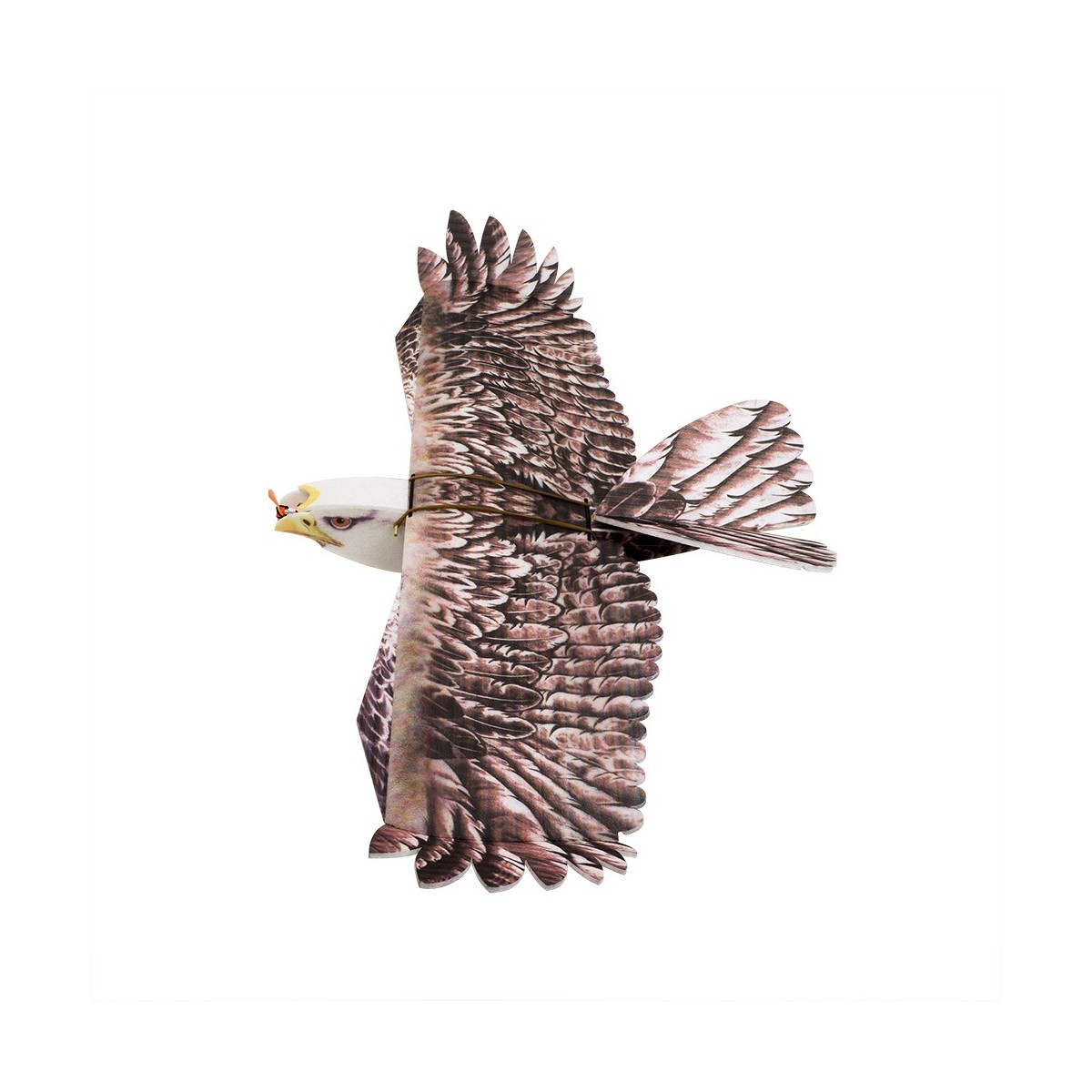 Aigle Eagle II 1m43 E19 EPP Kit DW Hobby DW Hobby - Dancing Wings Hobby E1901 - 3