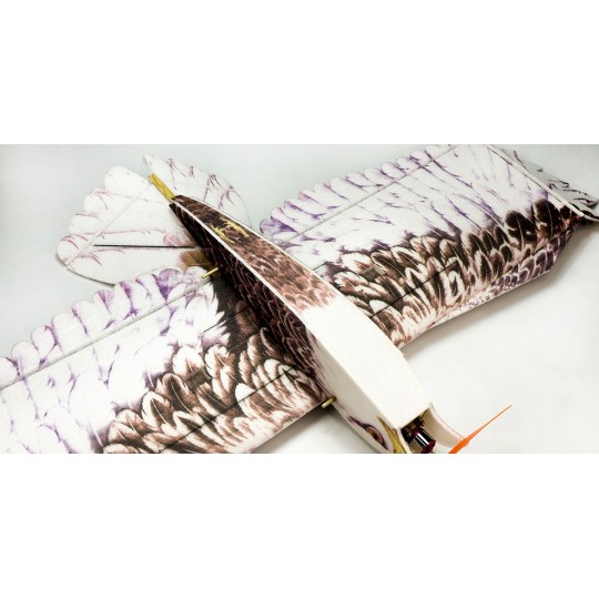 E1901-Aigle Eagle II 1m43 E19 EPP Kit DW Hobby