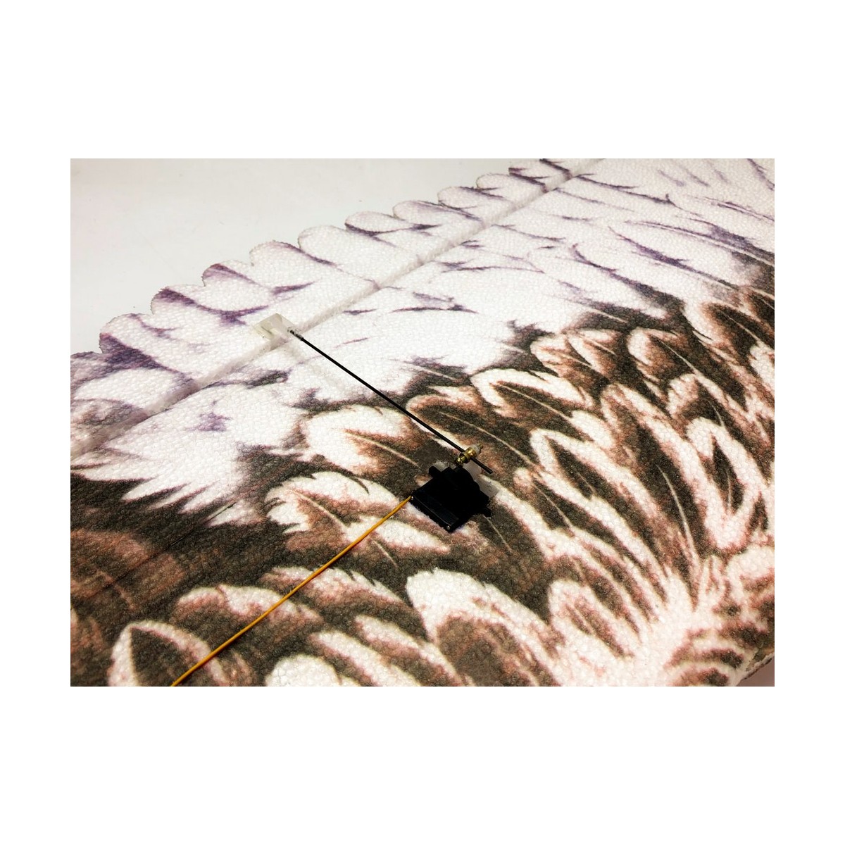 Aigle Eagle II 1m43 E19 EPP Kit DW Hobby DW Hobby - Dancing Wings Hobby E1901 - 6