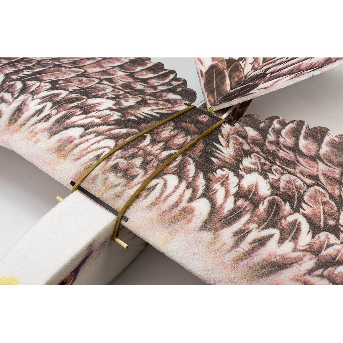 Aigle Eagle II 1m43 E19 EPP Kit DW Hobby DW Hobby - Dancing Wings Hobby E1901 - 7