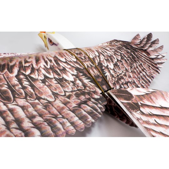 E1901-Aigle Eagle II 1m43 E19 EPP Kit DW Hobby