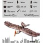 E1901-Aigle Eagle II 1m43 E19 EPP Kit DW Hobby