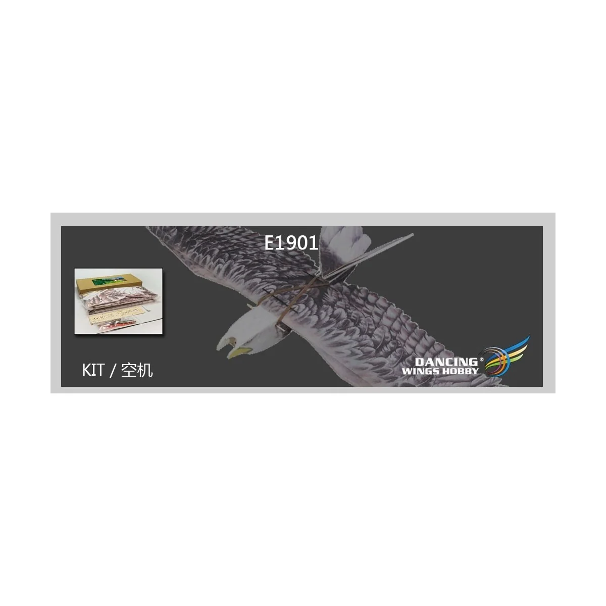 Aigle Eagle II 1m43 E19 EPP Kit DW Hobby DW Hobby - Dancing Wings Hobby E1901 - 11
