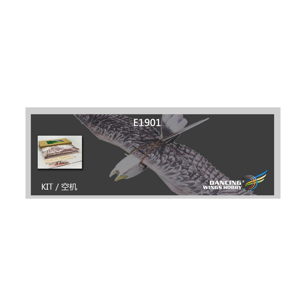 Aigle Eagle II 1m43 E19 EPP Kit DW Hobby DW Hobby - Dancing Wings Hobby E1901 - 11