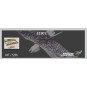 E1901-Aigle Eagle II 1m43 E19 EPP Kit DW Hobby - E1901