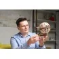 UG-70128-Globus Puzzle 3D wood UGEARS - UG-70128