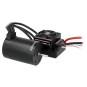 R01250-Combo brushless 1/10 ESC WP 50A - 4P engine 3652 3000KV Robitronic - R01250