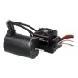 Combo brushless 1/10 ESC WP 60A - 4P engine 3652 4600KV Robitronic Robitronic R01253 - 1 R01253-Combo brushless 1/10 ESC WP 60A - 4P engine 3652 4600KV Robitronic - R01253