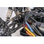 Virus Race 4.2 Brushless 4S 100% RTR 1/8 Carson Carson 500409069 - 6 500409069-Virus Race 4.2 Brushless 4S 100% RTR 1/8 Carson - 500409069