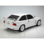 58691-Ford Escort Custom TT-02 Kit Tamiya