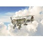 I2819-Aircraft Henschel Hs123 1/48 Italeri