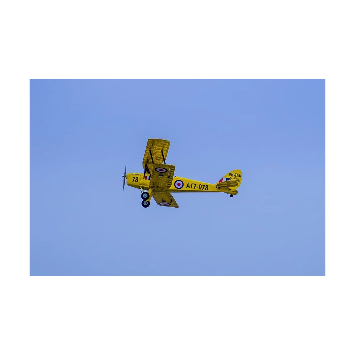 Tiger Moth 800m S39 Kit ARF PNP balsa DW Hobby DW Hobby - Dancing Wings Hobby SCG3904 - 7