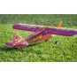 E3104-J3 Firebird 600mm E31 EPP Kit PNP DW Hobby