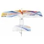 Dolphin 580mm E36 EPP Kit PNP DW Hobby DW Hobby - Dancing Wings Hobby E3604 - 7 E3604-Dolphin 580mm E36 EPP Kit PNP DW Hobby - E3604