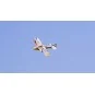 Dolphin 580mm E36 EPP Kit seul DW Hobby DW Hobby - Dancing Wings Hobby E3601 - 5 E3601-Dolphin 580mm E36 EPP Kit seul DW Hobby - E3601