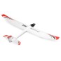 EFLU2950-UMX Radian glider 730mm BNF Basic AS3X / SAFE E-Flite