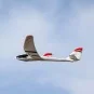 EFLU2950-UMX Radian glider 730mm BNF Basic AS3X / SAFE E-Flite - EFLU2950