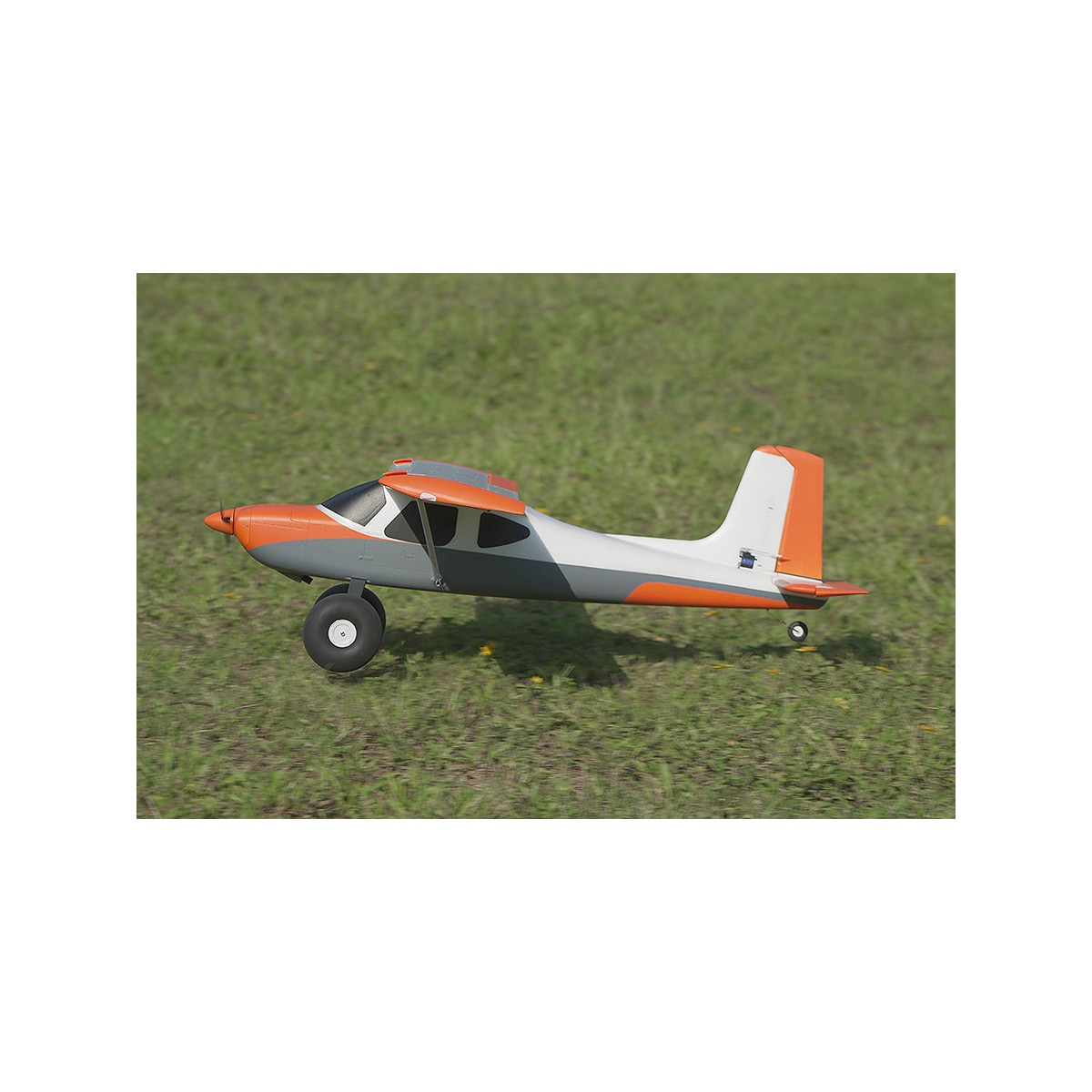 Avion Tasman 1m50 PNP XFly  XF106P - 7