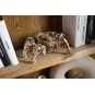UG-70158-Explorer Hexapod Puzzle 3D wood UGEARS - UG-70158