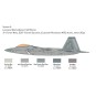 F-22A Raptor 1/48 Italeri Italeri I2822 - 4 I2822-F-22A Raptor 1/48 Italeri - I2822