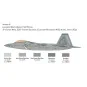 F-22A Raptor 1/48 Italeri Italeri I2822 - 4 I2822-F-22A Raptor 1/48 Italeri - I2822