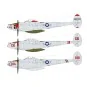 61123-Lockheed P-38J Lightning 1/48 Tamiya aircraft - 61123