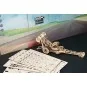 Dragster Top Fuel Puzzle 3D bois UGEARS UGEARS UG-70174 - 4 UG-70174-Dragster Top Fuel Puzzle 3D bois UGEARS - UG-70174