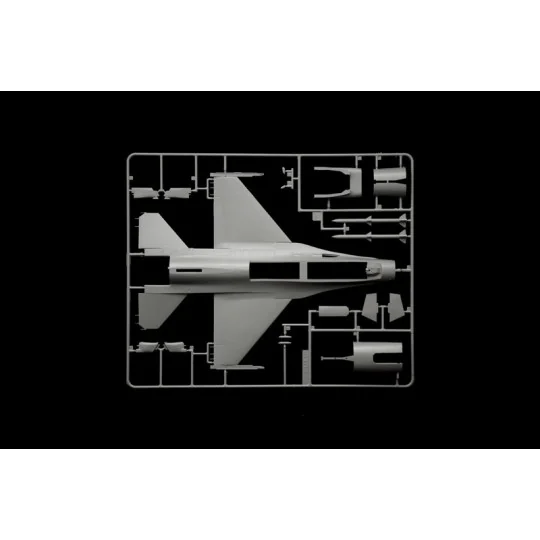 I2825-Avion F-16C Fighting Falcon 1/48 Italeri