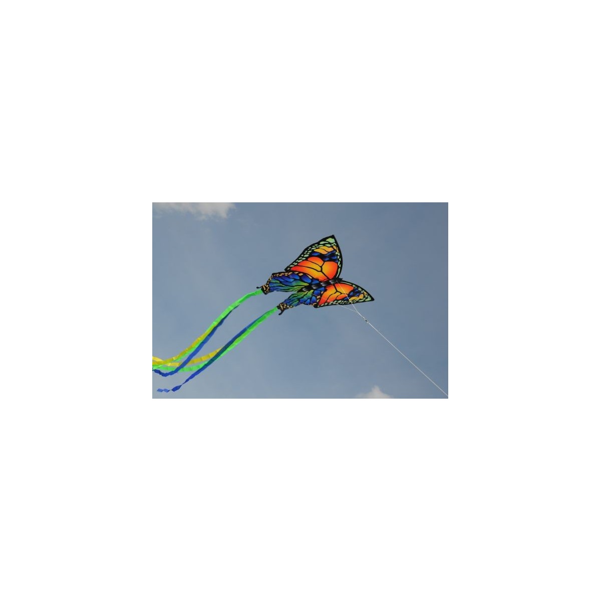 Kite Butterfly 95x63cm - Gunther Gunther GUN-1151 - 2