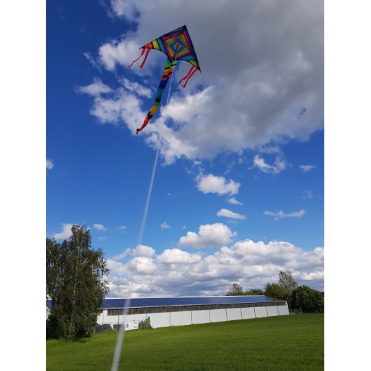 GUN-1160-Kite Matrix 97x48cm - Gunther