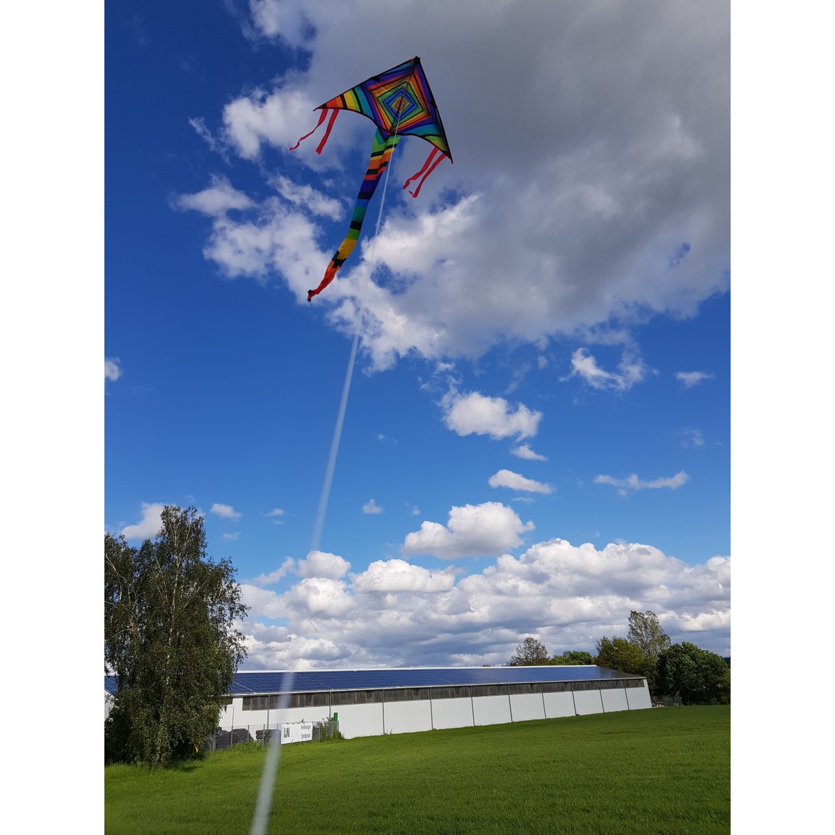 Kite Matrix 97x48cm - Gunther Gunther GUN-1160 - 3