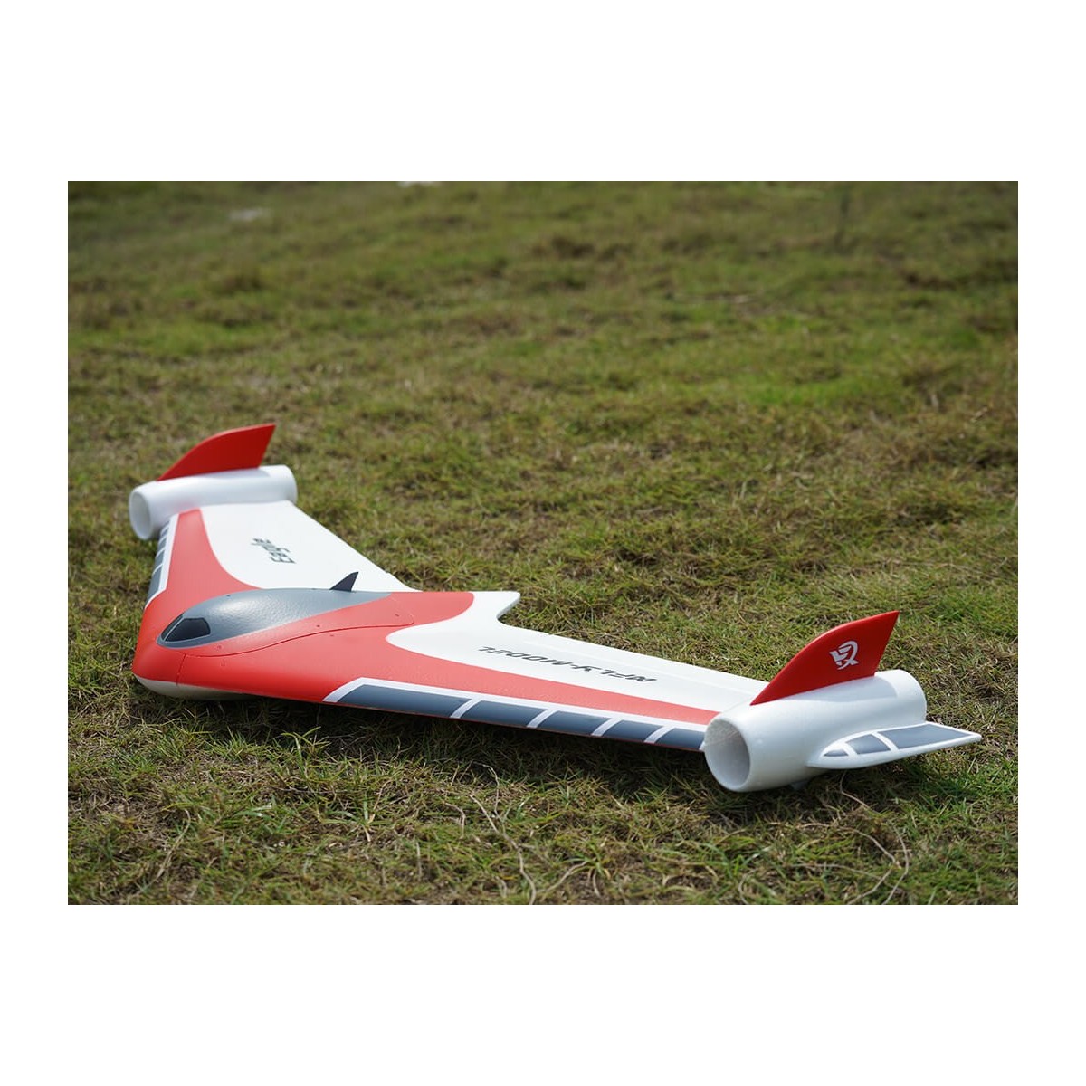 Aile volance Eagle 1m PNP XFly  XF115PG-R - 7