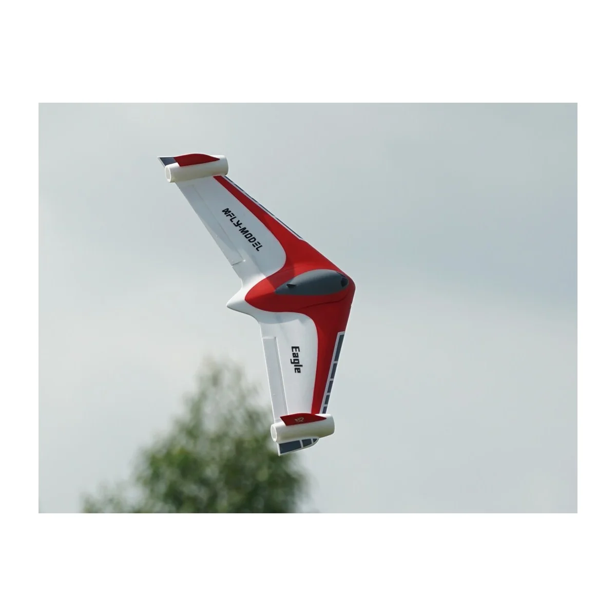 Aile volance Eagle 1m PNP XFly XF115PG-R - 13