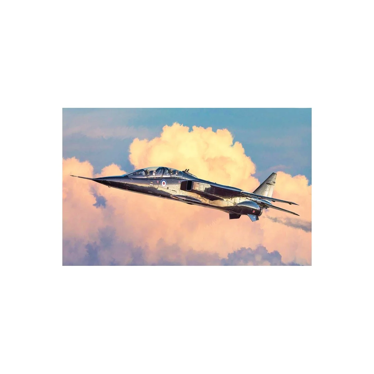 JAGUAR T.2 RAF 1/72 Italeri aircraft Italeri I1470 - 1