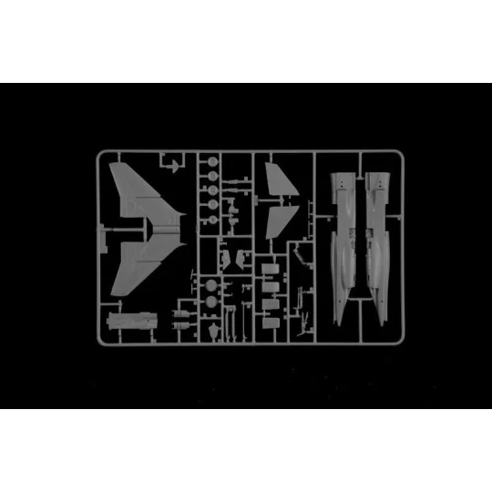 I1470-Avion JAGUAR T.2 RAF 1/72 Italeri