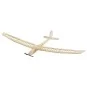 Aion 2500mm Glider Balsa Kit DW Hobby DW Hobby - Dancing Wings Hobby F2501C - 1 F2501C-Aion 2500mm Glider Balsa Kit DW Hobby - F2501C