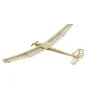 F2501C-Planeur Aion 2500mm kit balsa DW Hobby - F2501C