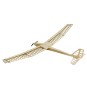 F2501C-Planeur Aion 2500mm kit balsa DW Hobby