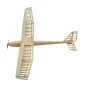 F2501C-Planeur Aion 2500mm kit balsa DW Hobby - F2501C