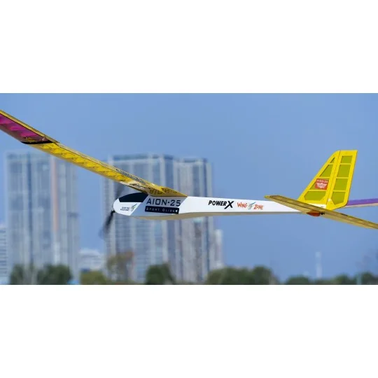 F2501C-Planeur Aion 2500mm kit balsa DW Hobby - F2501C
