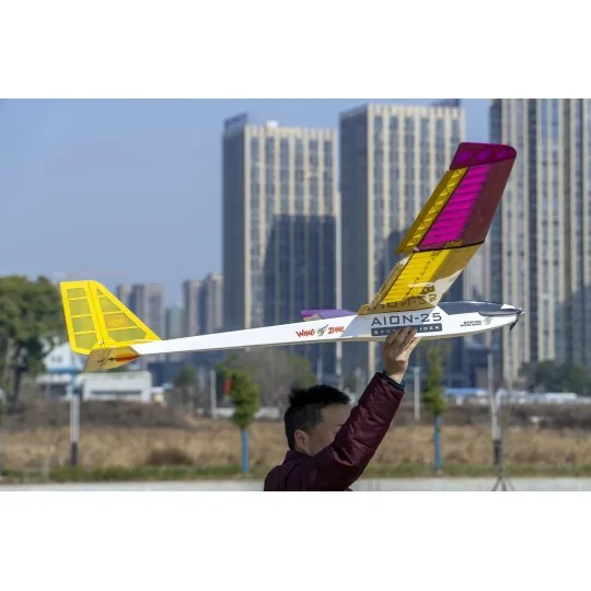 F2501C-Planeur Aion 2500mm kit balsa DW Hobby