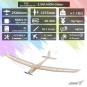F2501C-Planeur Aion 2500mm kit balsa DW Hobby - F2501C