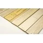 X0101-Kit Extra 330 1000 mm X01 en balsa DW Hobby - X0101